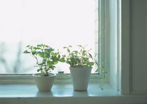 2025年版 伊勢崎市の注文住宅成功ガイド｜理想の住まいを実現するための完全戦略